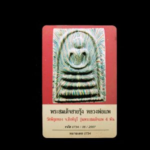 pae 2c