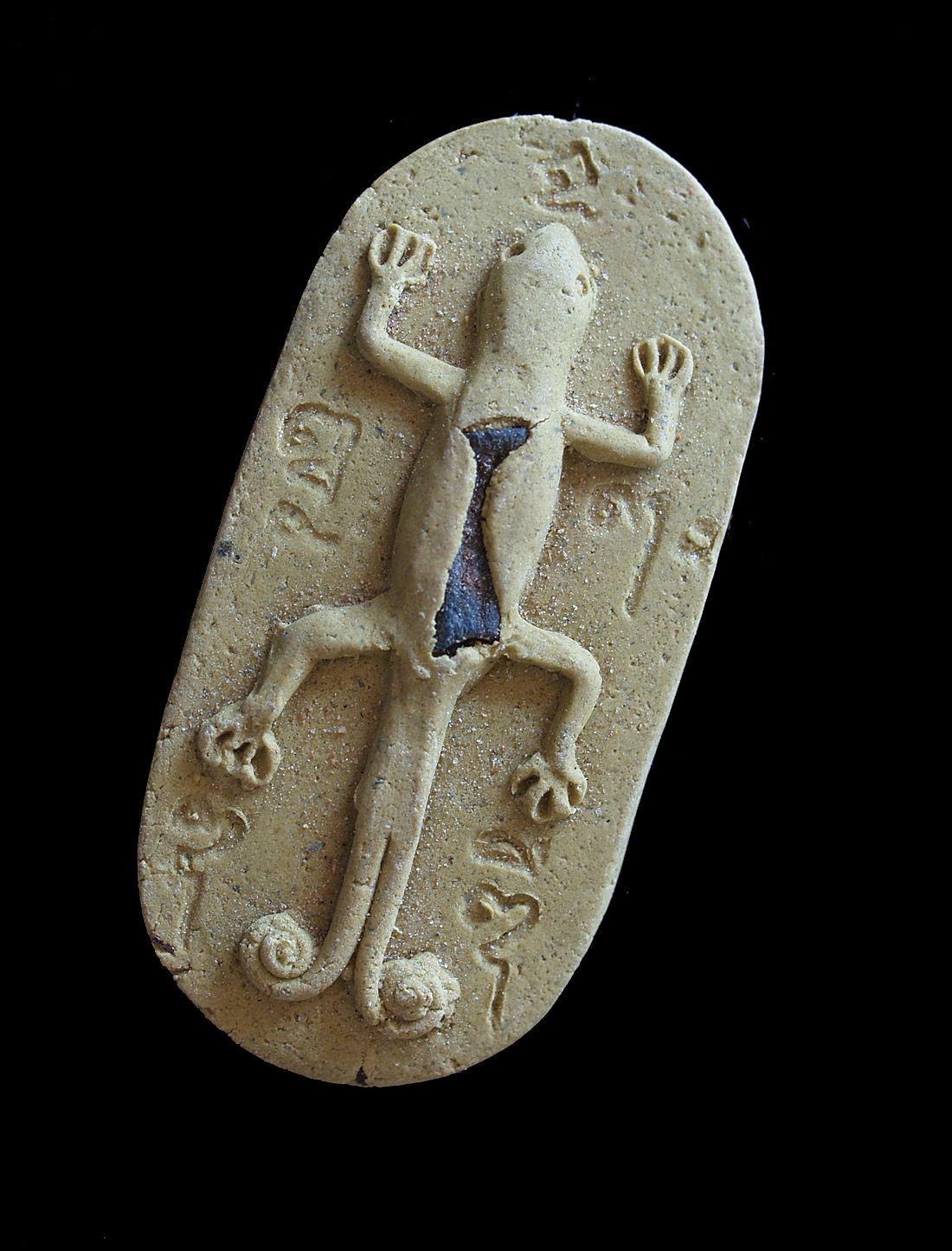 Gecko Amulet